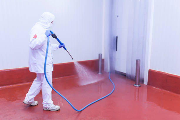 Best Driveway Cleaning and Restoration in Englewood, TN